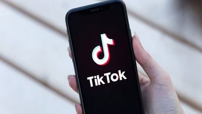 TikTok Data Transfer Investigation