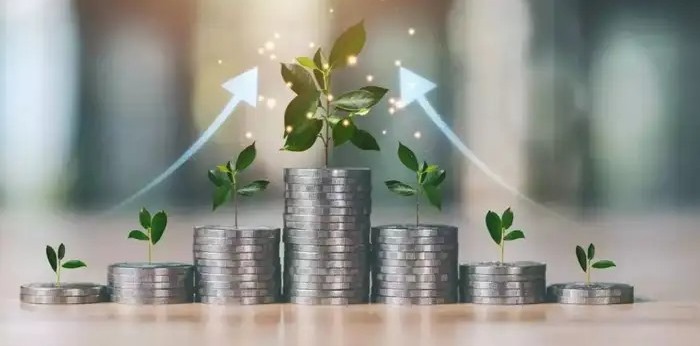 Investment in Mutual Fund SIP