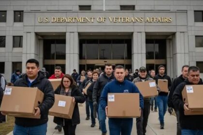 US Govt Jobs Layoffs