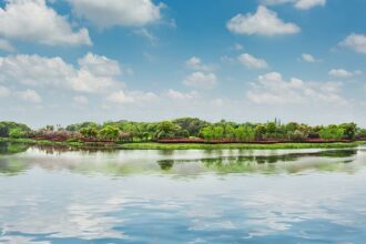 Impact of river barriers on global river flow