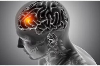 World Brain Day 2025