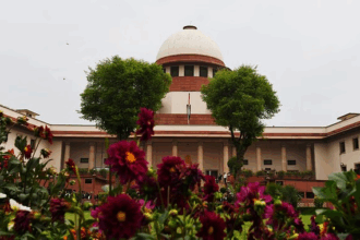 Objectionable cartoons on PM