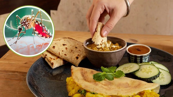 Dengue Recovery Superfoods: ડેન્ગ્યુમાંથી સ્વસ્થ થયા પછી નબળાઈ અનુભવો છો? તમે સ્વસ્થ થવા માટે તમારા આહારમાં આ ચાર સુપરફૂડ્સનો સમાવેશ કરી શકો છો. 1