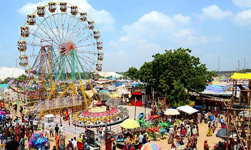 Tarnetar fair 2025