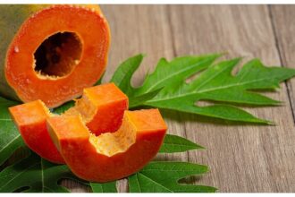 Papaya nutrition facts and health benefits