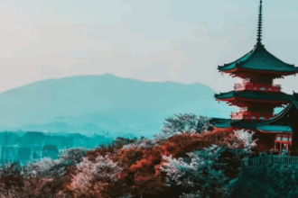 Scholarships in Japan