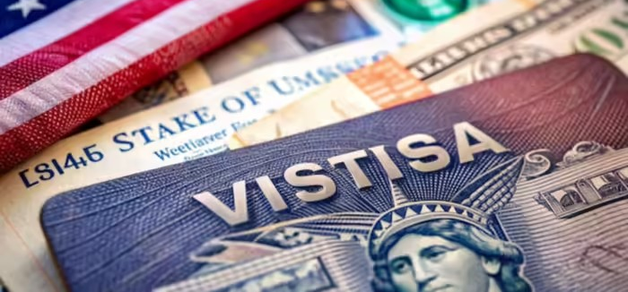 H-1B Visa Petition Denied