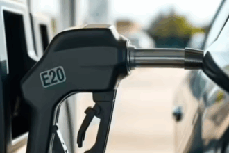 E20 petrol mileage disadvantages