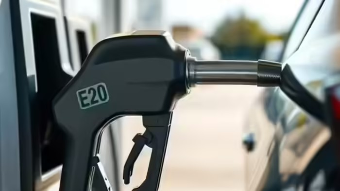 E20 petrol mileage disadvantages