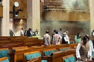 Parliament security breach