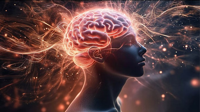 Information Overload Effects: