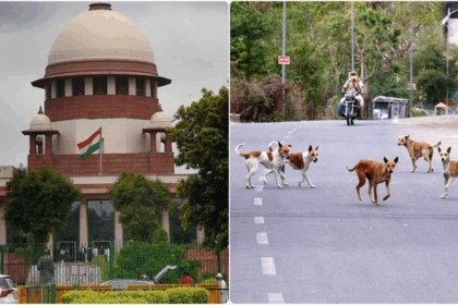 Supreme Court order on stray dogs