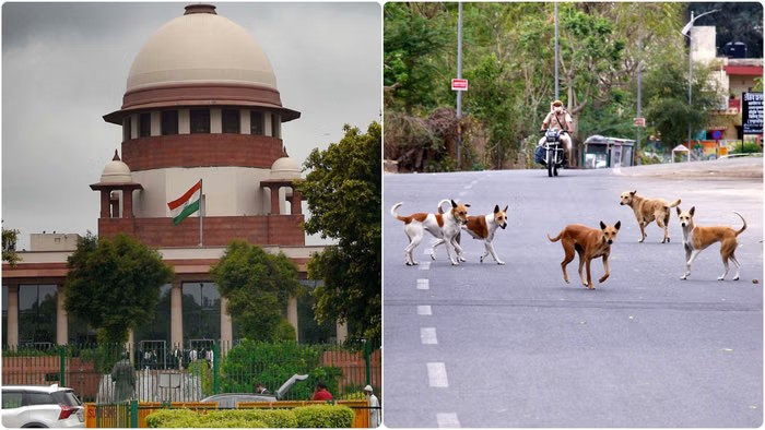 Supreme Court order on stray dogs