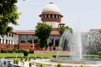 Supreme Court stray dogs ruling: