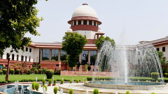 Supreme Court stray dogs ruling: