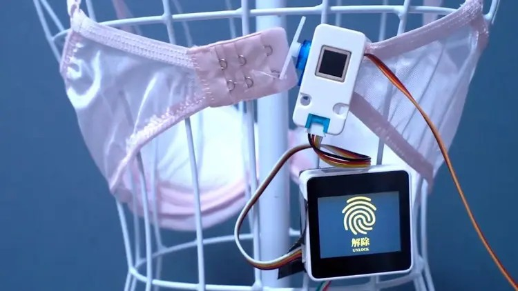 Smart bra innovation: જાપાની સ્ટુડન્ટે લોન્ચ કરી એન્ટી-ચીટિંગ સ્માર્ટ બ્રા, ફક્ત પાર્ટનરના ફિંગરપ્રિન્ટથી જ થશે ઓપન 1 hwrel3iq