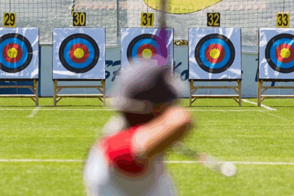 India compound archery gold