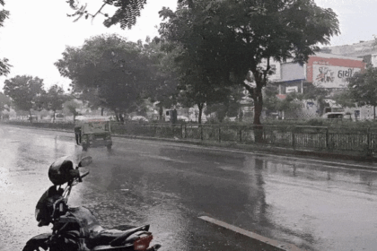 Gujarat rainfall