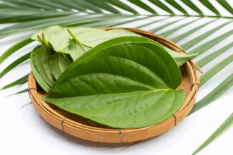 Betel Leaf Benefits