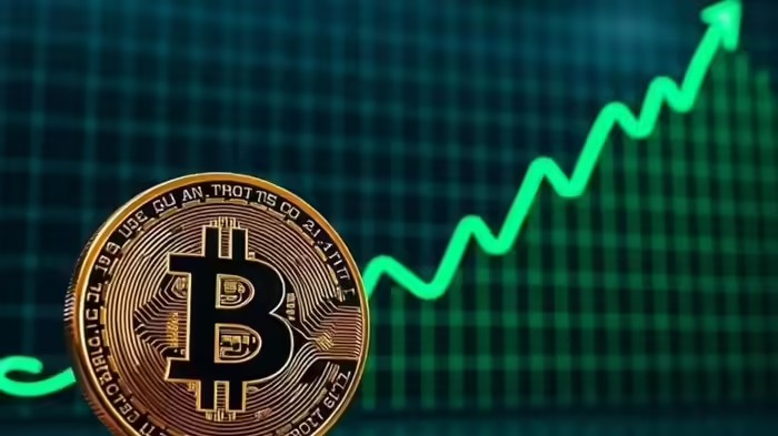 Bitcoin Price Jumped: ઓહહો બિટકોઈને લોકોને કર્યા માલામાલ,અધધ કિંમત વધી , જાણી આંખો વિસ્ફારિત થઇ જશે 1 Bitcoin Price Jumped