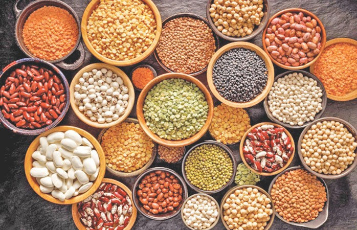 India pulses import 2025: ભારતની કઠોળ આયાતમાં 39% ઘટાડાનો અંદાજ, પૂરતા સ્ટોક અને સારા રવિ પાકની આશાએ માંગ ઘટી 1 2yabdci8