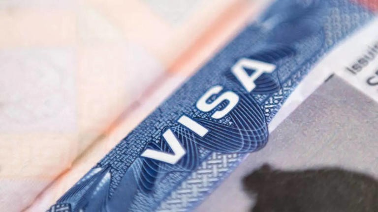 US student visa drop India: અમેરિકામાં સ્ટુડન્ટ વિઝા સંખ્યા ઘટી, ભારતીય વિદ્યાર્થીઓ પર સૌથી વધુ અસર 1 892gpa8o