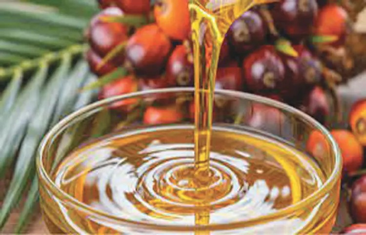 India palm oil import decline: પામ ઓઈલની આયાતમાં સપ્ટેમ્બરમાં ઘટાડો, સોયાઓઈલની ખરીદીમાં વધારો: ભારતના ખાધ્ય તેલ બજારમાં ફેરફાર 1 colrnmvq