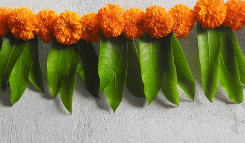 Mango leaf toran benefits: ઘરના મુખ્ય દરવાજા પર આંબાના પાનનું તોરણ લગાવવાના ફાયદા: સુખ, સમૃદ્ધિ અને નેગેટિવ ઉર્જાથી રક્ષા 1 fe7lv5to 1