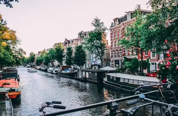 Jobs in Netherlands: શું તમે દર વર્ષે ₹5.1 મિલિયન કમાવવા માંગો છો? સુંદર યુરોપિયન દેશોમાં ભારતીય કામદારો માટે તકો, આ નોકરીઓની ખૂબ માંગ છે. 1 ql5myccc