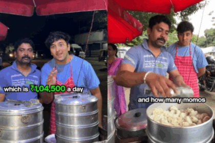 Momos Seller Earnings