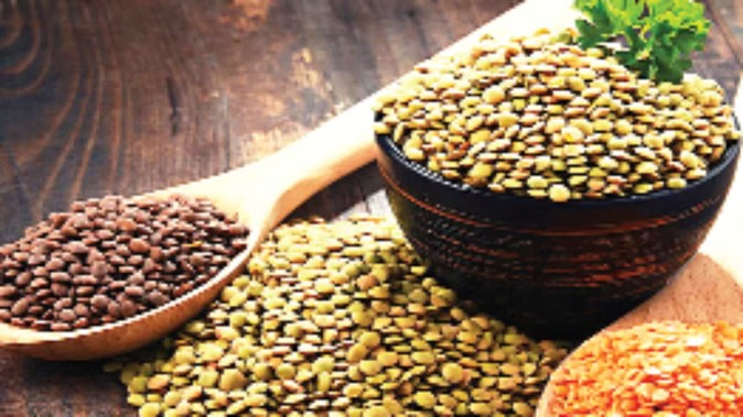 Biodiversity Crisis Food Study