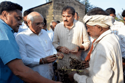 Gujarat farmer relief package