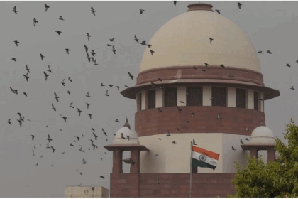CJI Gavai