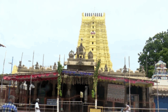 Tirupati Laddu Fake Ghee Scam