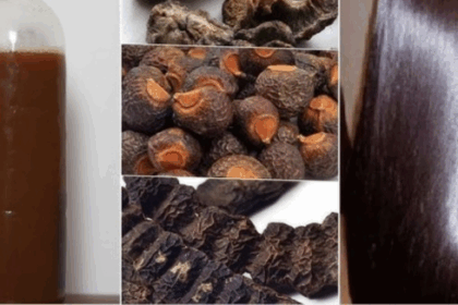 Homemade Natural Shampoo