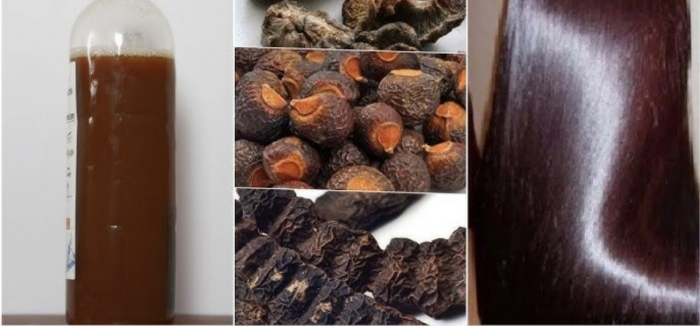Homemade Natural Shampoo