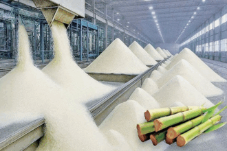 Sugar Export Quota Molasses Duty Waived