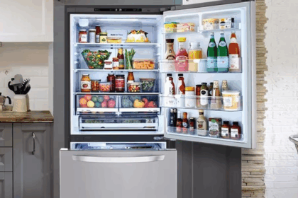 Bottom Freezer Refrigerator