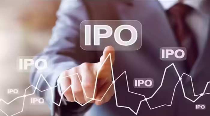 IPO Offer Document Summary