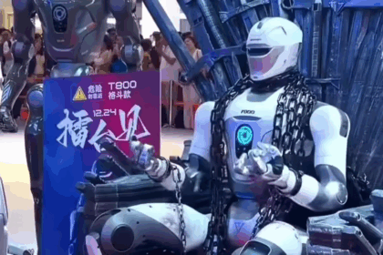 China Humanoid Robots