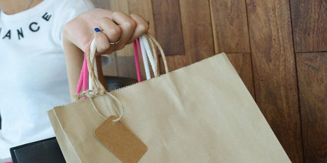 National Consumer Rights Day: કેરી બેગના પૈસા આપતા પહેલા સાવધાન! જો થેલી પર લોગો હોય તો એક રૂપિયો પણ ન આપતા, જાણો શું કહે છે ગ્રાહક સુરક્ષાનો નવો નિયમ 1 0239qm5s