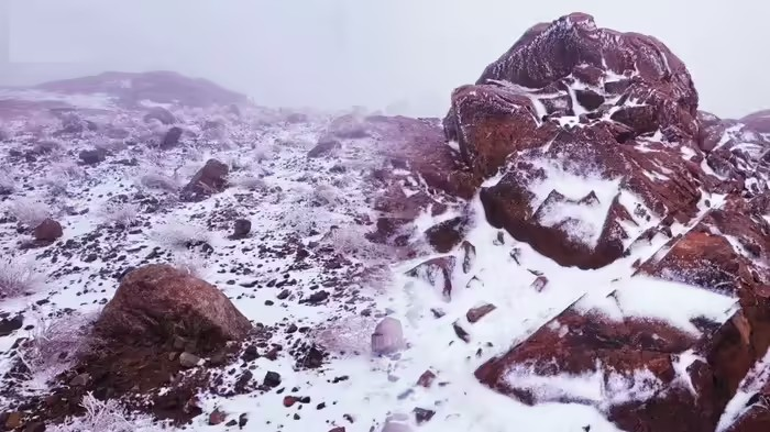 Saudi Arabia Snowfall 2025: રણ પ્રદેશ બન્યું કાશ્મીર! સાઉદીના પહાડોમાં ભારે બરફવર્ષાથી તાપમાન માઈનસમાં, પેગંબરની ભવિષ્યવાણીની પણ થઈ ચર્ચા 1 Saudi Arabia Snowfall 2025