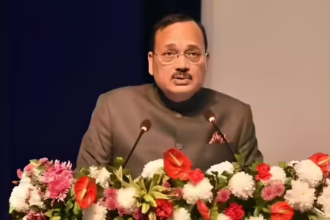 CJI on judicial language translation