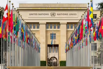 UN YPP Application