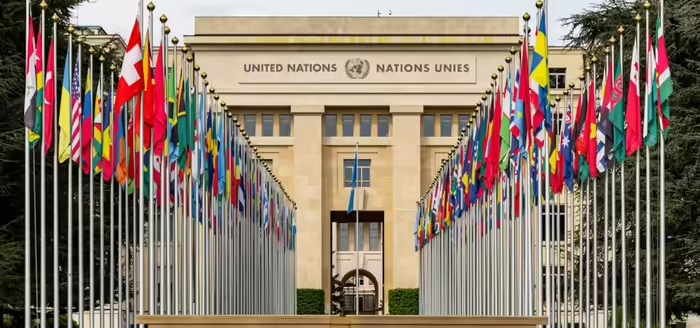 UN YPP Application