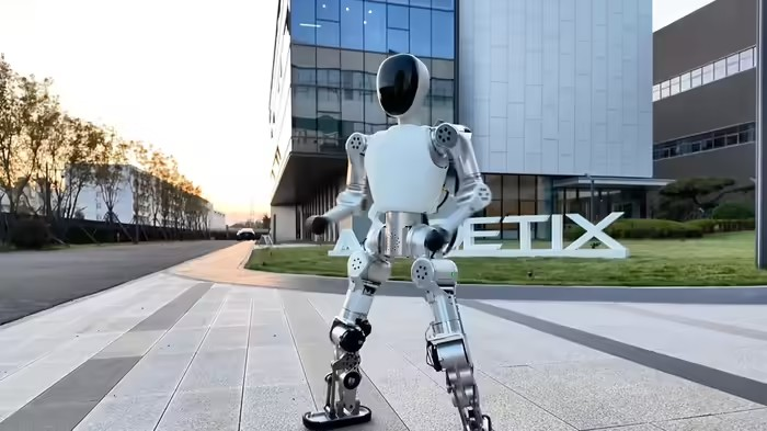 World cheapest humanoid robot