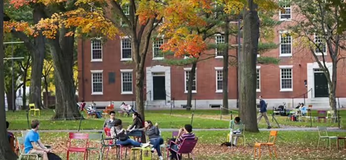 Ivy League Secrets