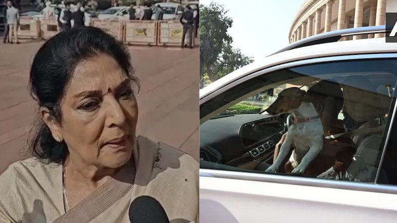 Parliamentary Privilege Breach: સંસદમાં શ્વાન વિવાદ: રેણુકા ચૌધરી સામે રાજ્યસભામાં આવી શકે છે 'વિશેષાધિકાર ભંગનો પ્રસ્તાવ'; જાણો શું છે આ પ્રસ્તાવ? 1 Parliamentary Privilege Breach