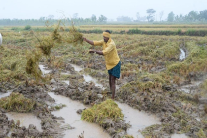 Gujarat Farmers Crop Damage