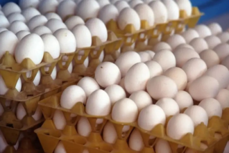 FSSAI Egg Sample Testing